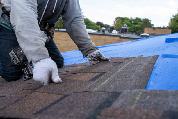 Best Commercial Roofing Services  in Markham, IL